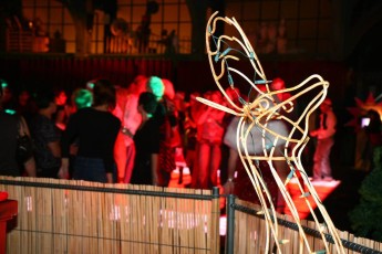 IMG_8531