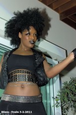 disco-train-5-2-2011-0048