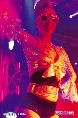 Disco-Train XL Party