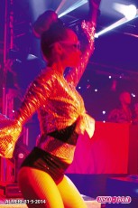 Disco-Train XL Party
