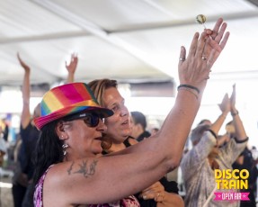 Disco-Train-Open-Air-2017-5885-1klt