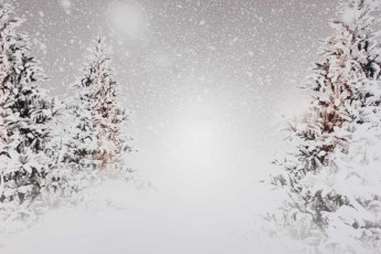 2019-12-14-82800C