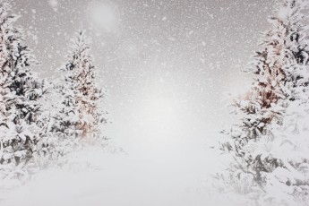 2019-12-14-84480C
